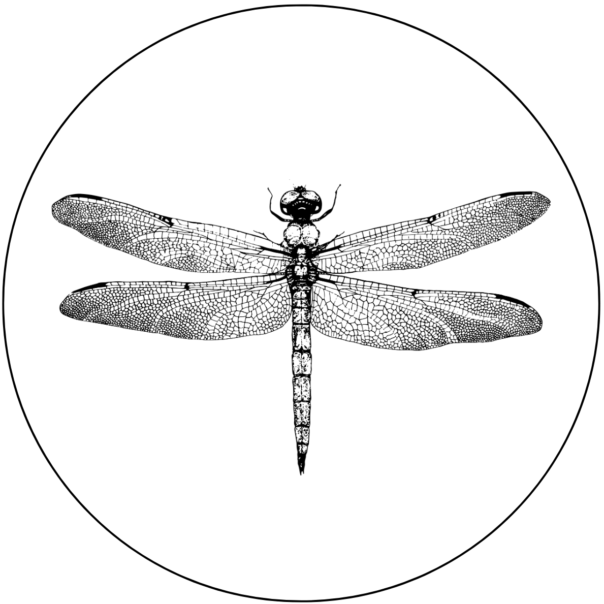 Janett Czarnietzki Fotografie